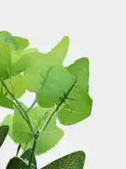 Салатовый искусственные цветы. Куст зелени. Искусственные растения для декора