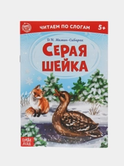 Читаем по слогам. Книга для обучения чтению детей. Учимся читать. Подготовка к школе