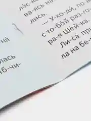 Читаем по слогам. Книга для обучения чтению детей. Учимся читать. Подготовка к школе