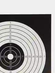 Мишень Remington, 14 х 14 см