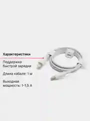 Белый зарядное устройство iPhone Type-C Lightning 20W