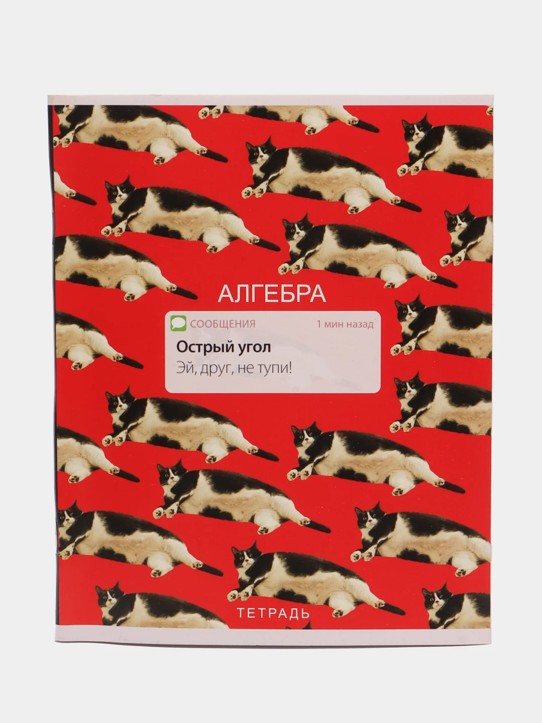 Предметная тетрадь "Алгебра" со справочным материалом, 48 л