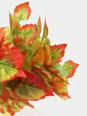 Оранжевый искусственные цветы. Куст зелени. Искусственные растения для декора