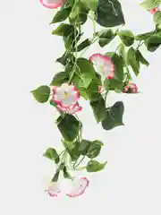 Тёмно-розовый искусственные цветы: лиана, лоза цветущая, петуния