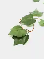 Зеленый декоративные лианы. Искусственные цветы