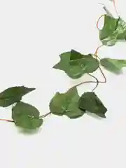 Зеленый декоративные лианы. Искусственные цветы