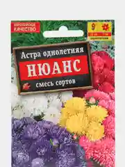 Семена цветов Астра "Нюанс" низкорослая, смесь сортов