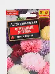 Семена цветов Астра "Огненный король"
