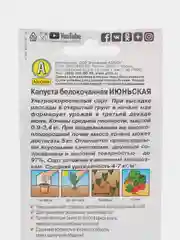 Семена Капуста белокочанная "Июньская"