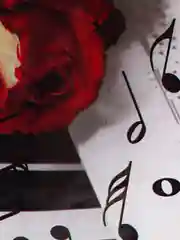 Серый пакет подарочный, 39 x 43 см/Набор из 3 шт, 5шт/Пакет на каждый день