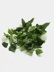 Белый искусственные цветы: лиана, лоза цветущая, петуния