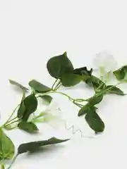Белый искусственные цветы: лиана, лоза цветущая, петуния