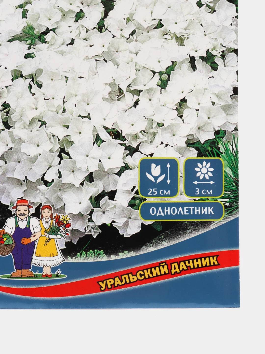 Семена цветов Флокс "Красотка в белом"