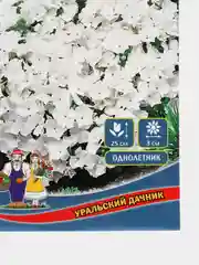 Семена цветов Флокс "Красотка в белом"