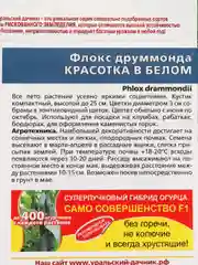 Семена цветов Флокс "Красотка в белом"