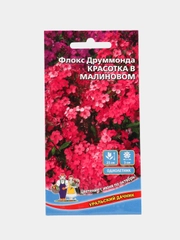 Семена цветов Флокс "Красотка в малиновом"