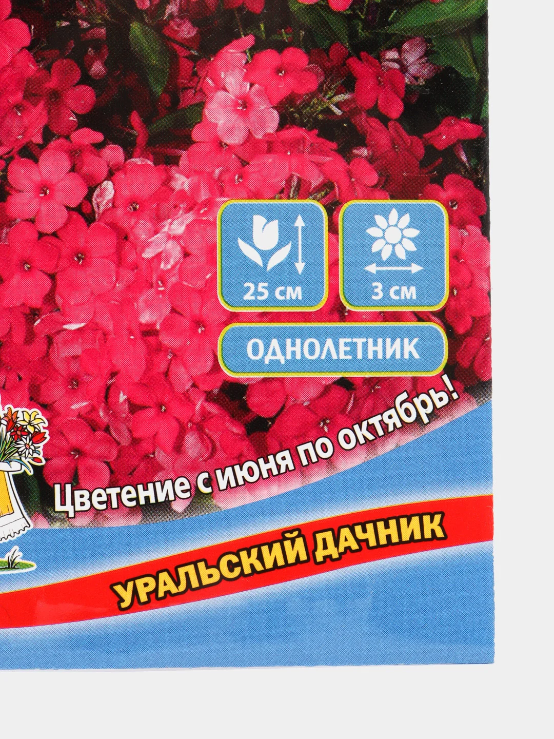 Семена цветов Флокс "Красотка в малиновом"