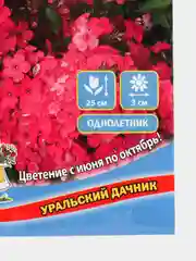 Семена цветов Флокс "Красотка в малиновом"