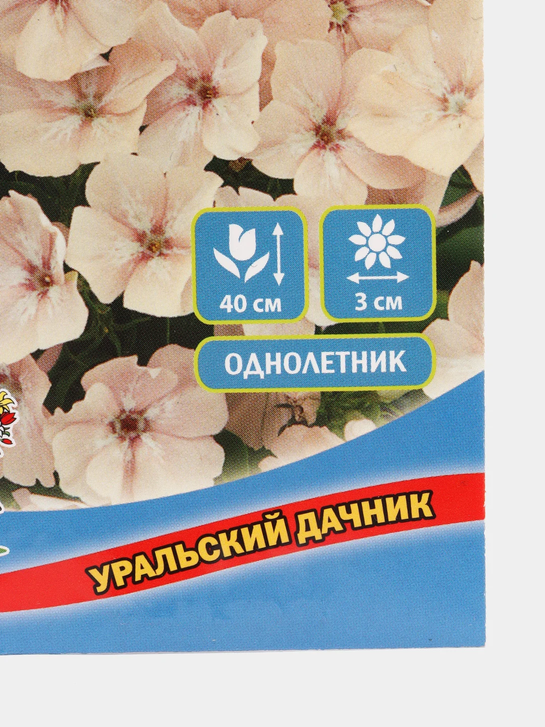 Семена цветов Флокс "Изабеллина"