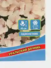 Семена цветов Флокс "Изабеллина"