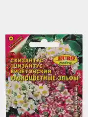Семена Схизантус "Разноцветные эльфы"