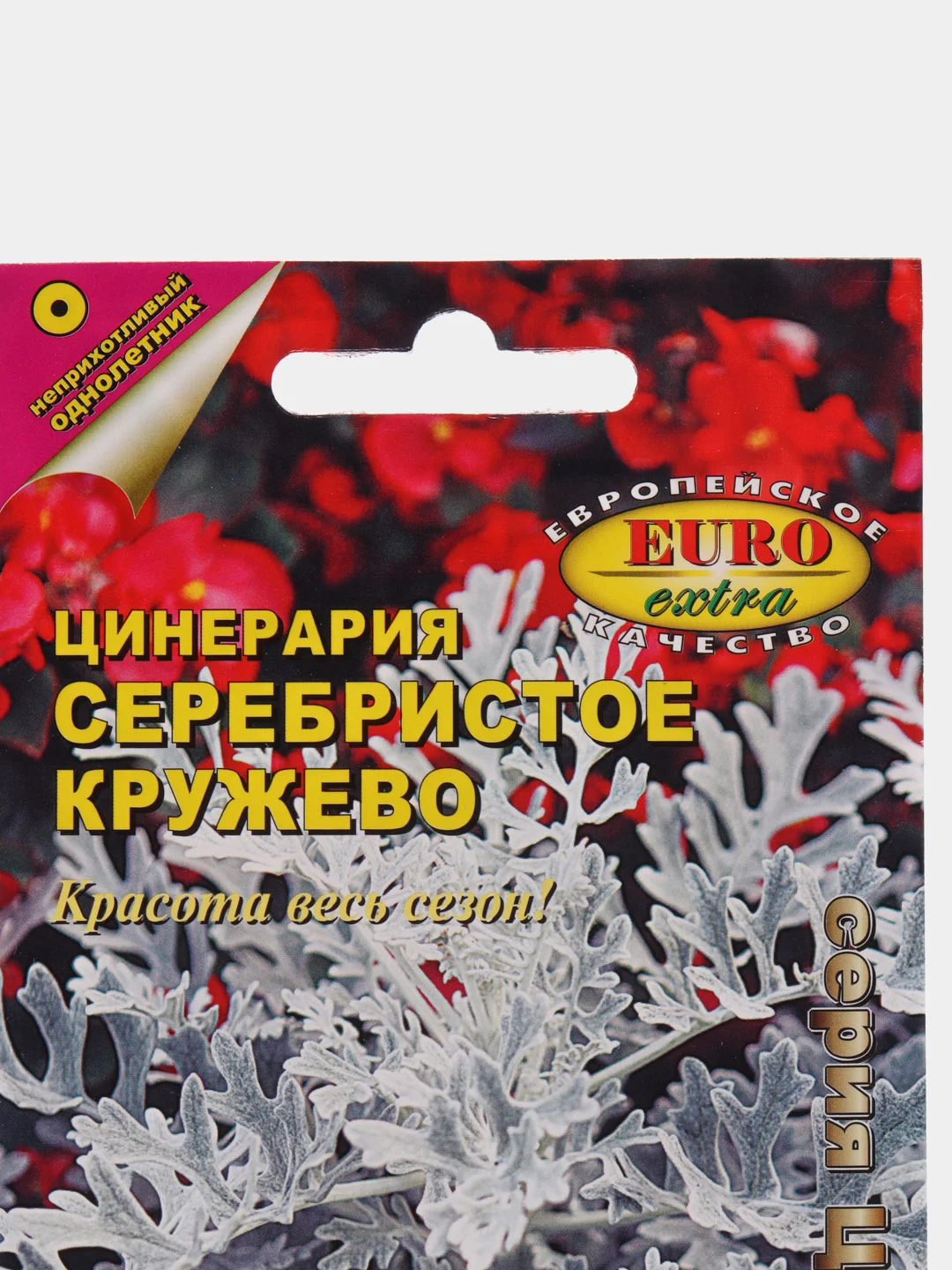 Цинерария Серебристое кружево (семена,цветы)