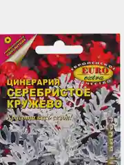 Цинерария Серебристое кружево (семена,цветы)