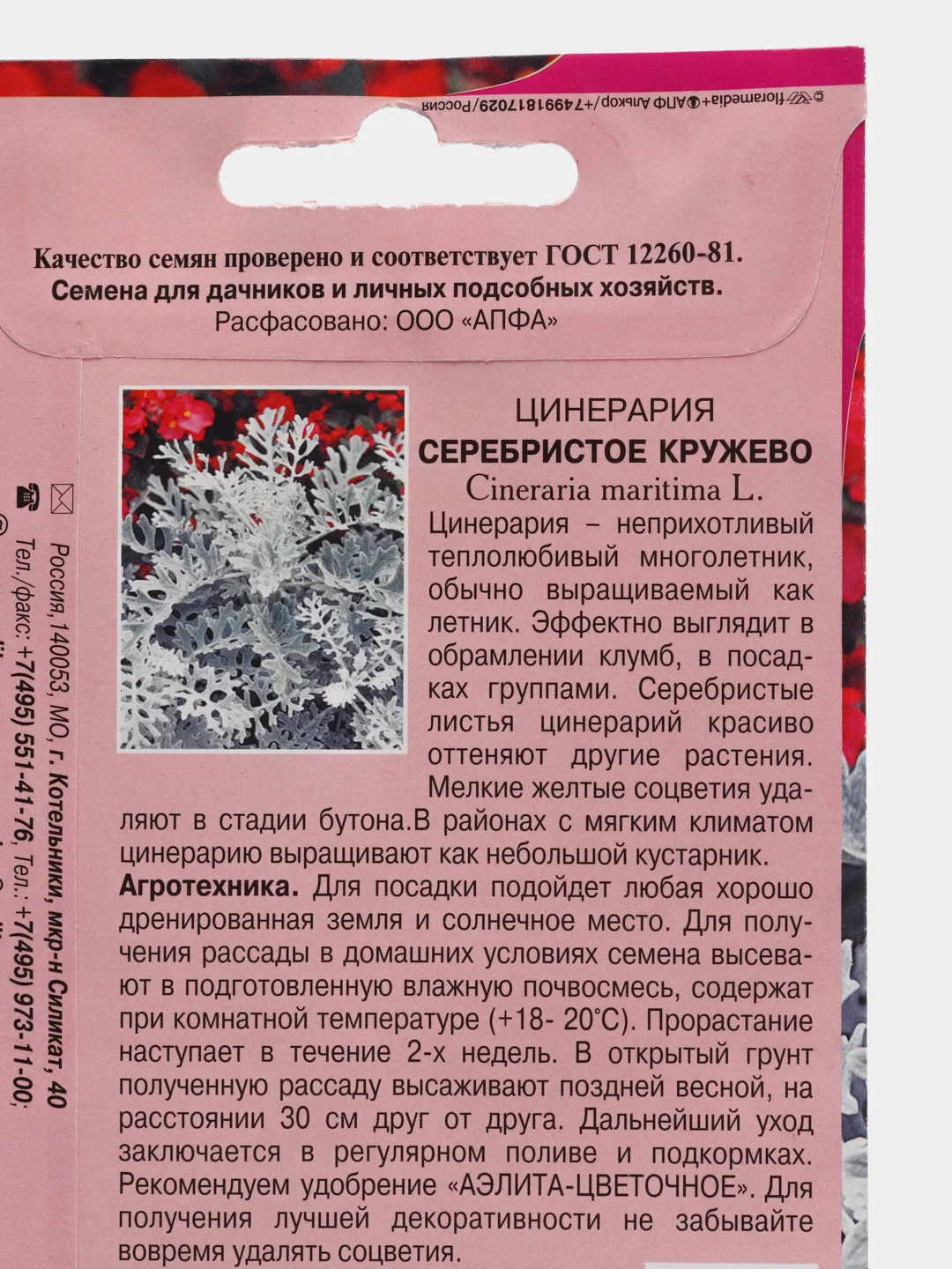Цинерария Серебристое кружево (семена,цветы)