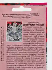 Цинерария Серебристое кружево (семена,цветы)