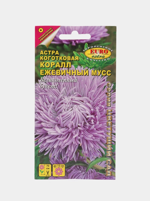 Семена астры "Коралл ежевичный мусс"