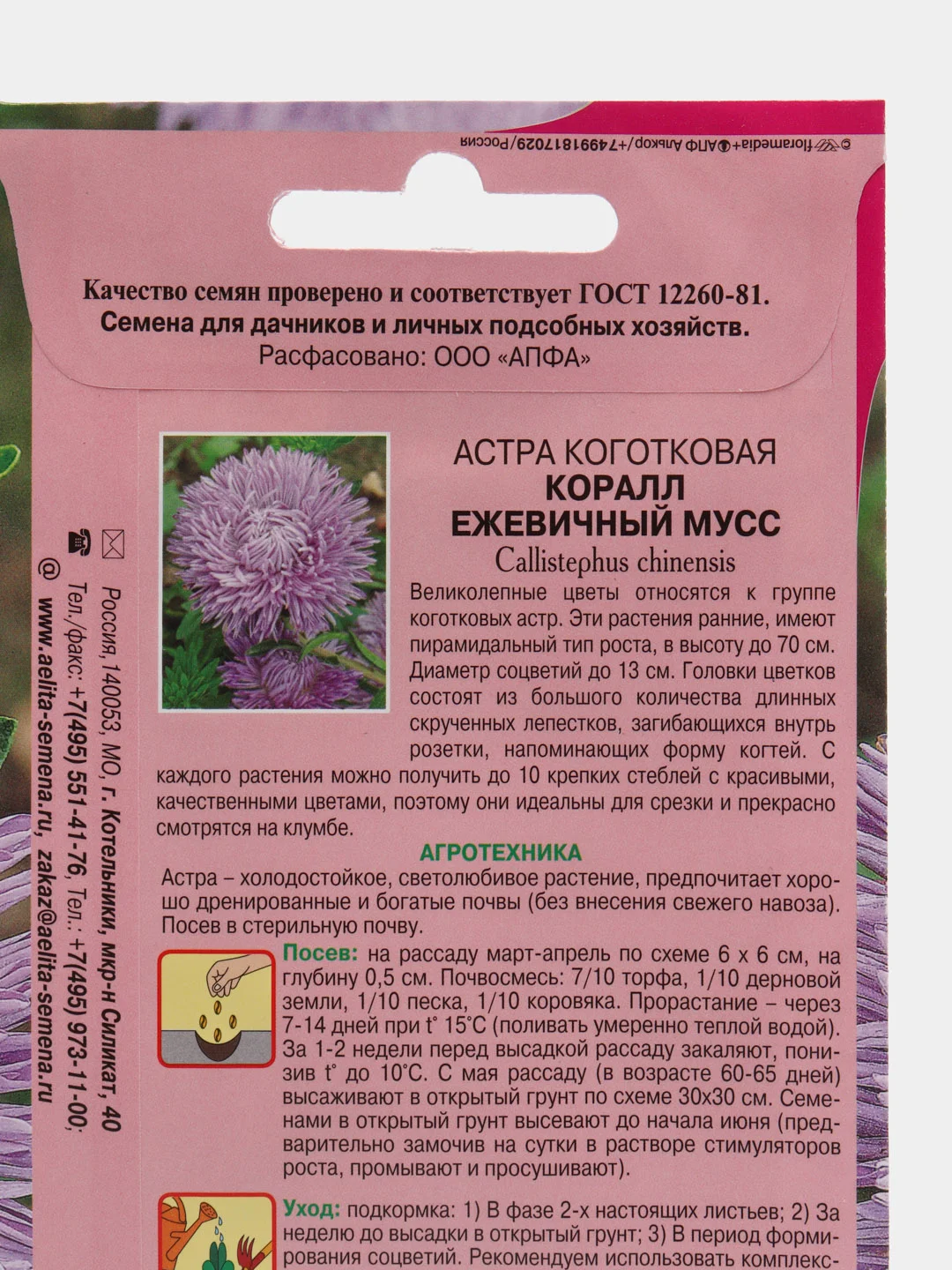 Семена астры "Коралл ежевичный мусс"