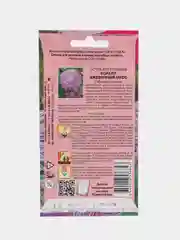 Семена астры "Коралл ежевичный мусс"
