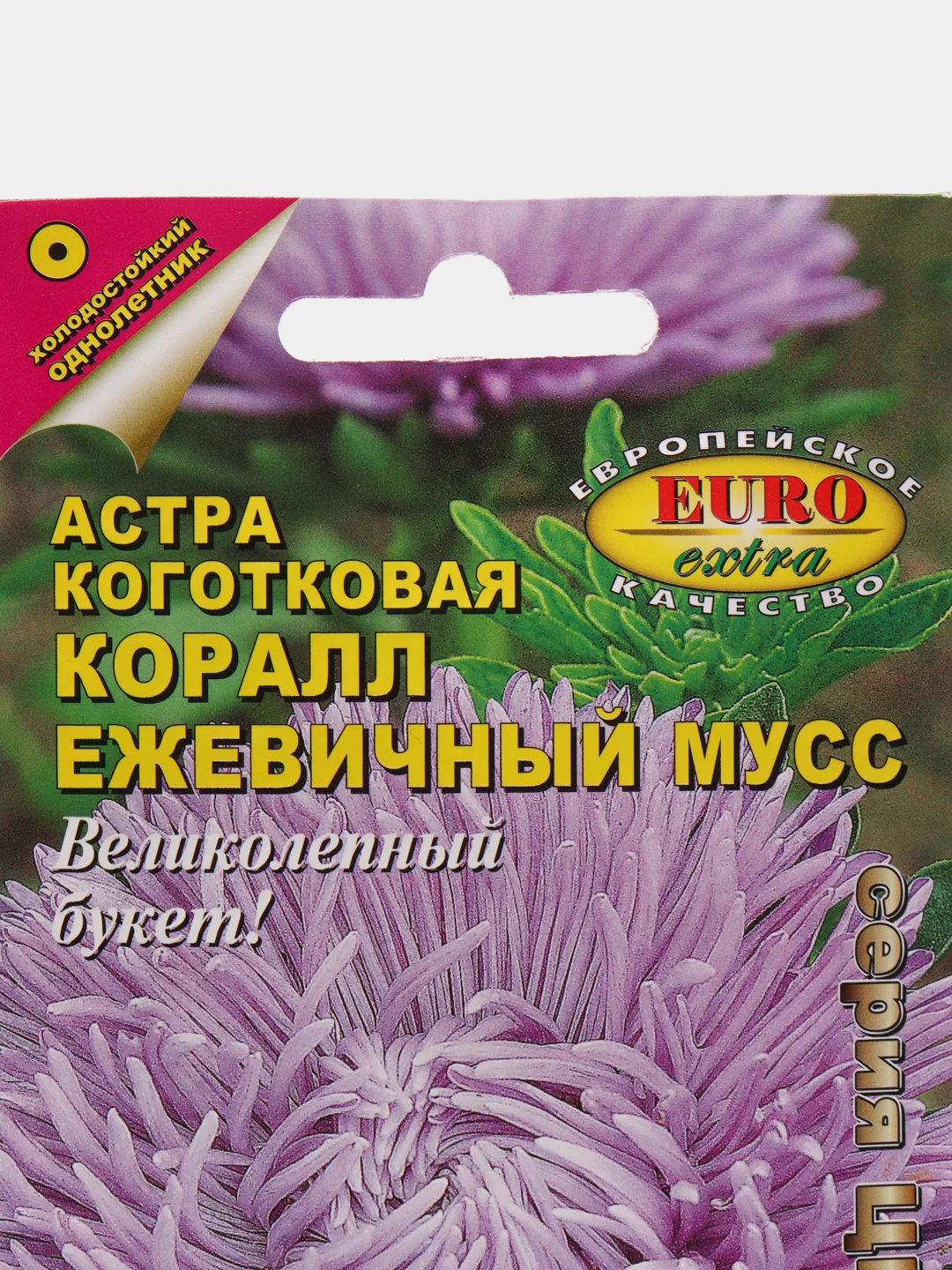 Семена астры "Коралл ежевичный мусс"