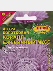 Семена астры "Коралл ежевичный мусс"