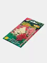Семена цветов Астильба "Королевская смесь"