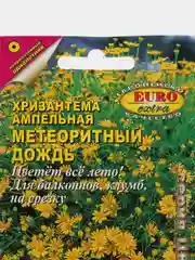 Семена хризантемы "Метеоритный дождь"