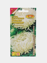Семена Астра "Коралл Пломбир"