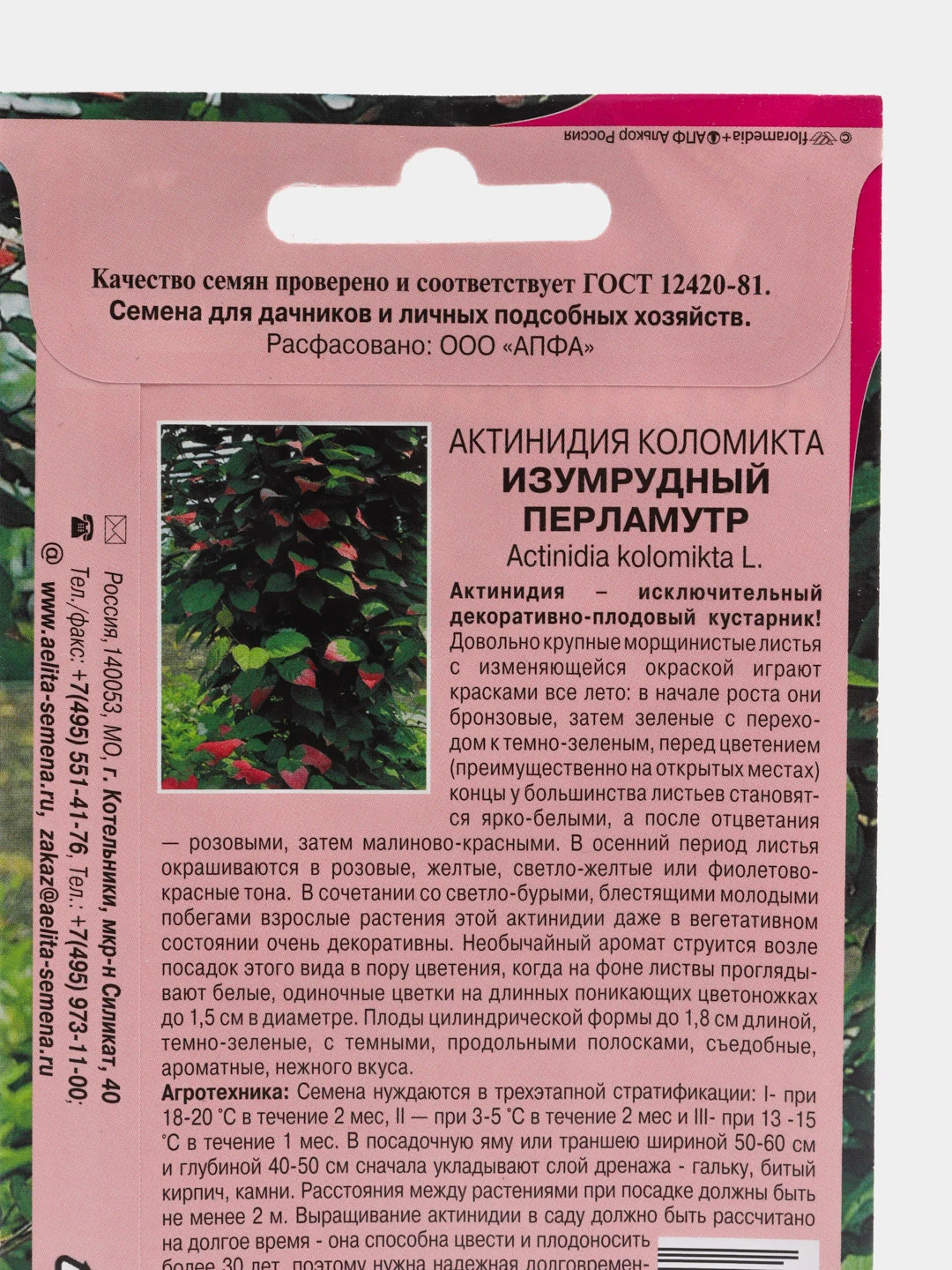 Актинидия Изумрудный перламутр (семена, цветы)