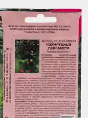 Актинидия Изумрудный перламутр (семена, цветы)