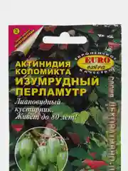 Актинидия Изумрудный перламутр (семена, цветы)