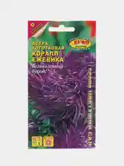 Семена Астра "Коралл ежевика"