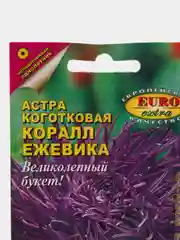 Семена Астра "Коралл ежевика"