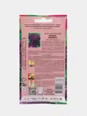 Семена Астра "Коралл ежевика"