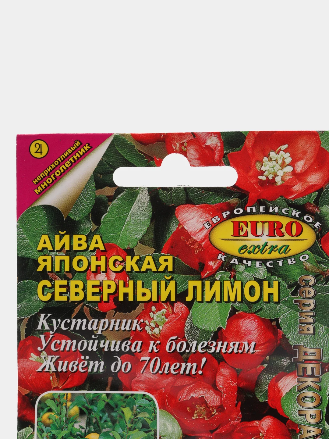 Семена айвы "Северный лимон"