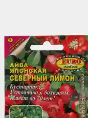 Семена айвы "Северный лимон"