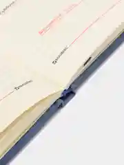 Еженедельник BRAUBERG "Status", недатированный, А5, 64 листа