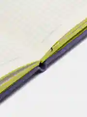 Блокнот BRAUBERG DUO, под кожу, с резинкой, 80 л, клетка, А5, 148 х 218 мм