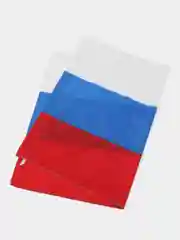 Флаг Российской Федерации