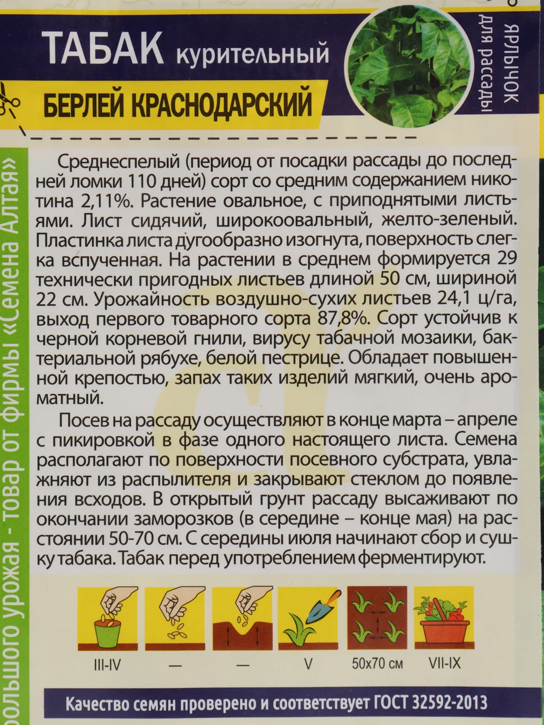 Семена табака "Берлей краснодарский"