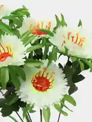 Белый искусственные декоративные цветы (гвоздика, маргаритка)